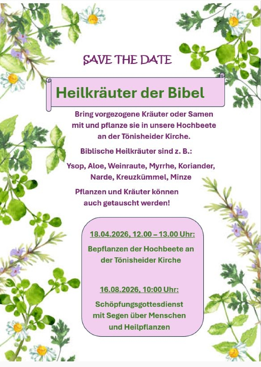 2026-04-18 Heilkräuter