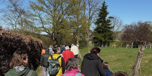 Mehr über den Artikel erfahren Wandern, Wasser, Waldbaden am 28.09.